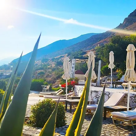 Private Standard Full View דירה *